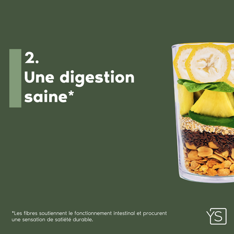 Starter  - Mangue
