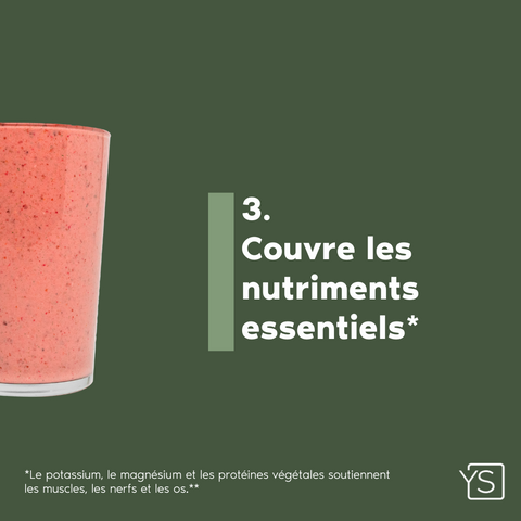 Starter  - Mangue