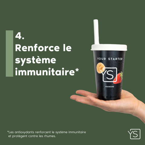 Starter  - Mangue